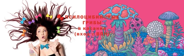прущая мука Наволоки