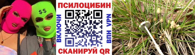 Галлюциногенные грибы MAGIC MUSHROOMS  Павловская 